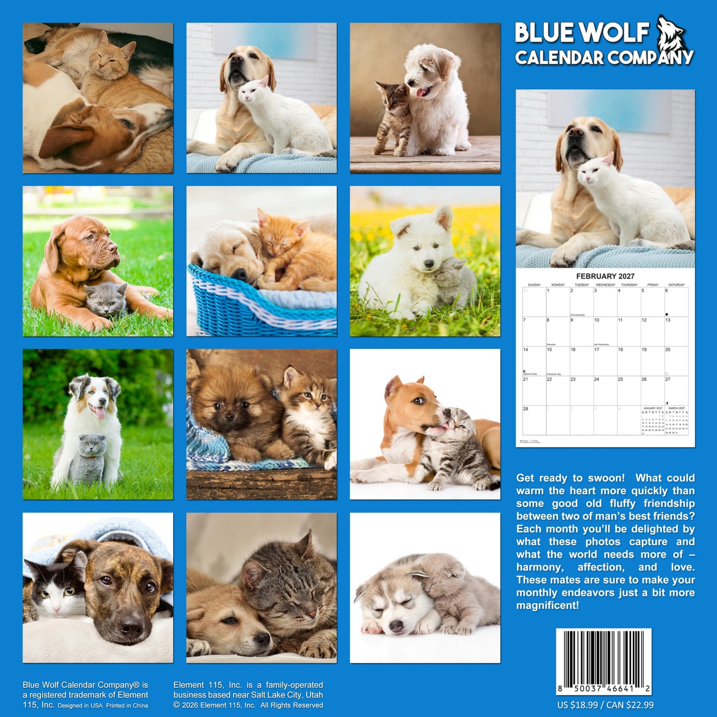 2027 Dog & Cat Friends Monthly Wall Calendar | Cute Animals Calendar 2026-2027