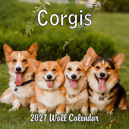 2027 Corgis Monthly Wall Calendar | Cute Dog Calendar September 2026 - December 2027