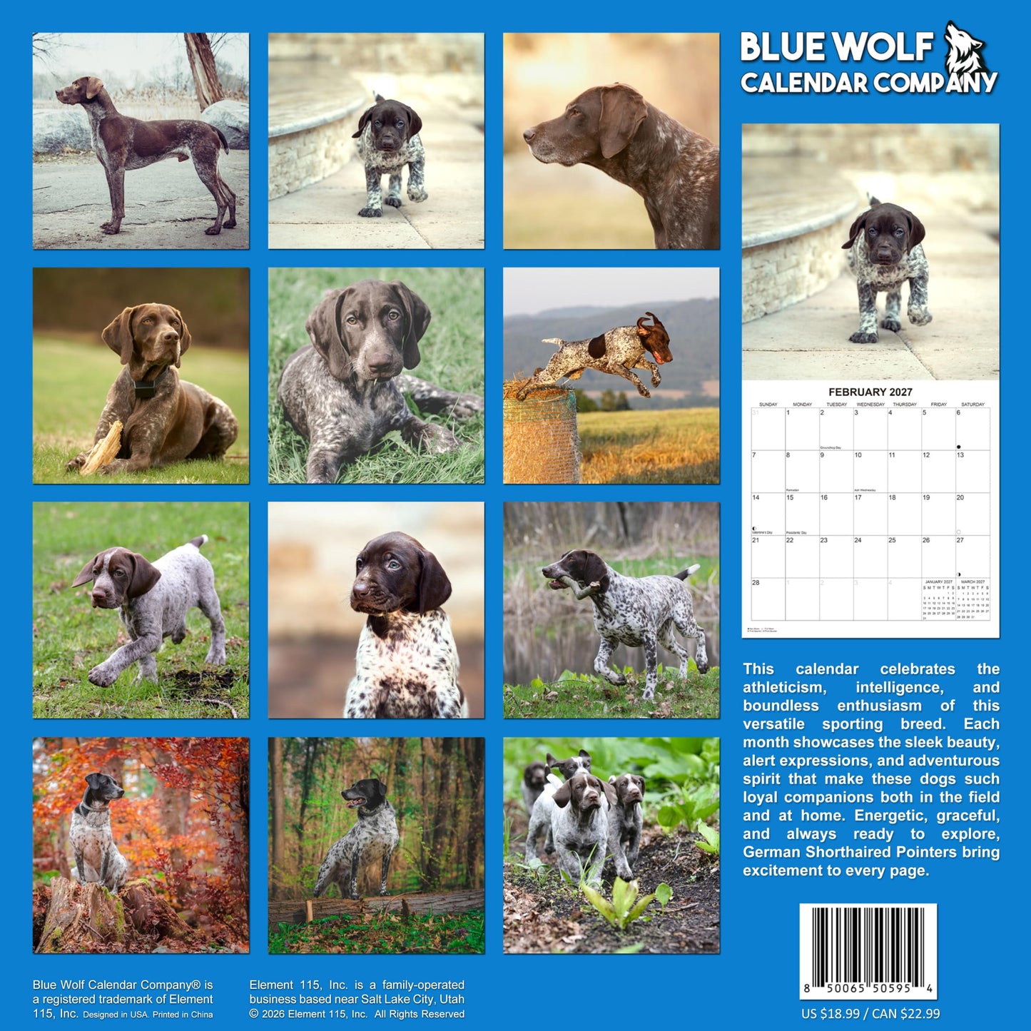2027 German Shorthaired Pointer Monthly Wall Calendar | Dog Calendar September 2026 - December 2027
