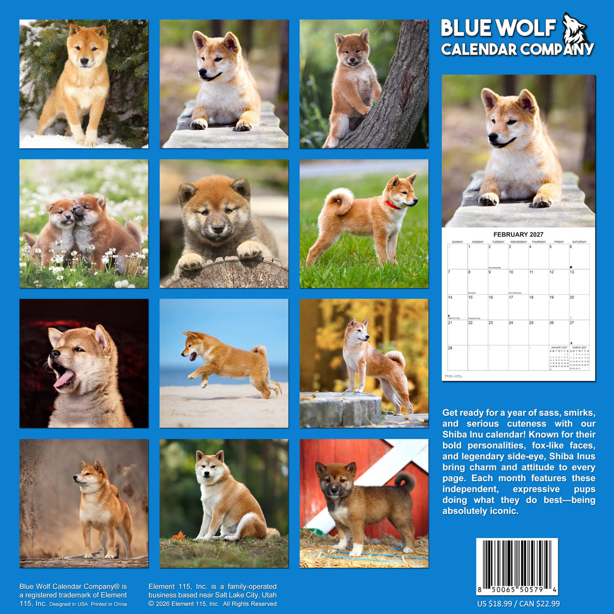 2027 Shiba Inus Monthly Wall Calendar | Cute Dogs 2027 Wall Calendar 2026-2027