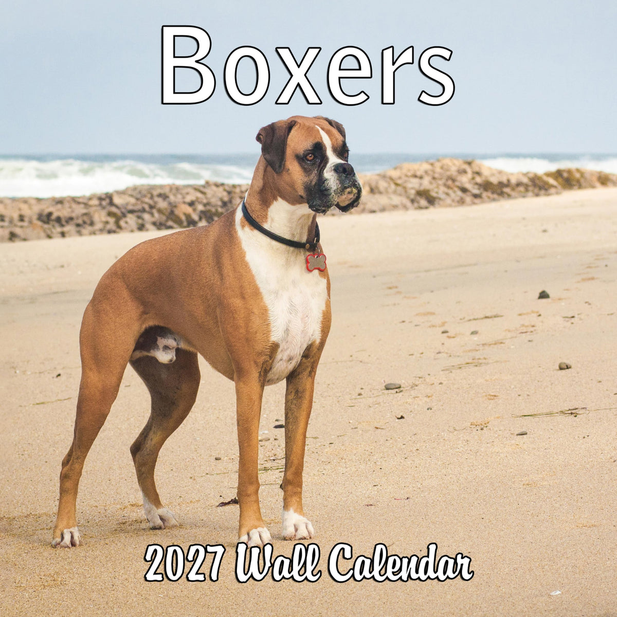 2027 Boxers Monthly Wall Calendar | Boxer Dog Breed 2026 Wall Calendar 2026-2027