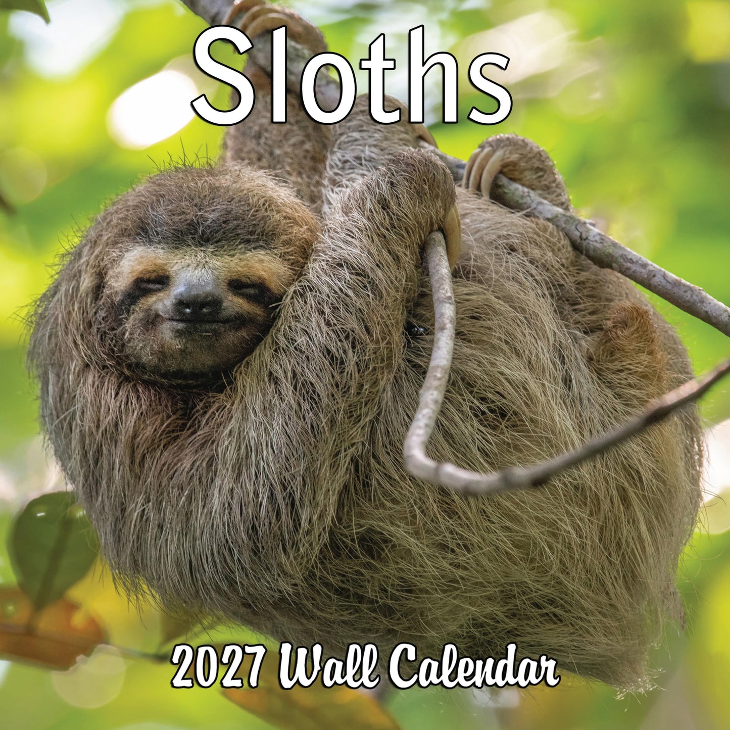 2027 Sloths Monthly Wall Calendar | Cute Animals Calendar 2026-2027