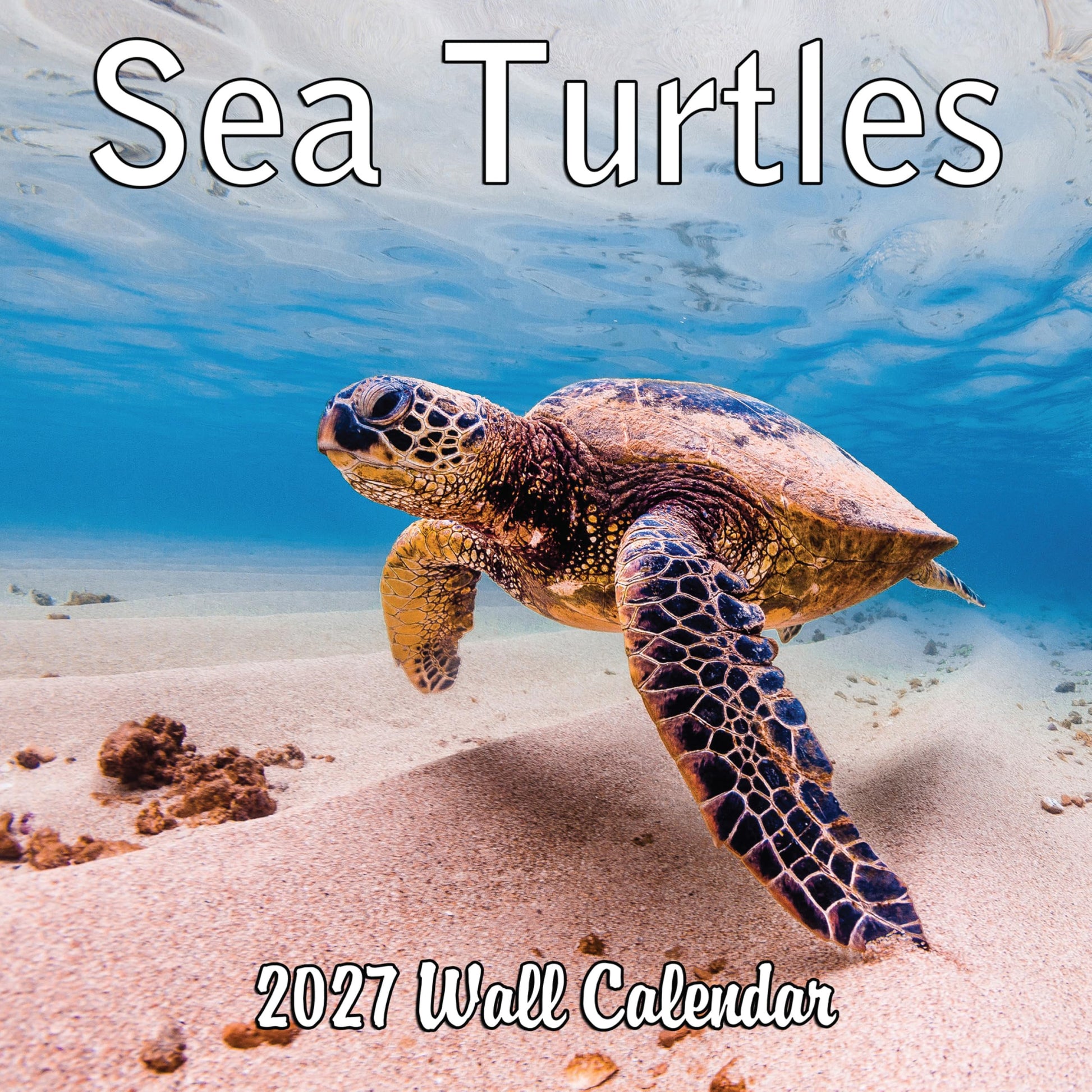 2027 Sea Turtles Monthly Wall Calendar | Cute Animals Sea Creatures Calendar 2026-2027