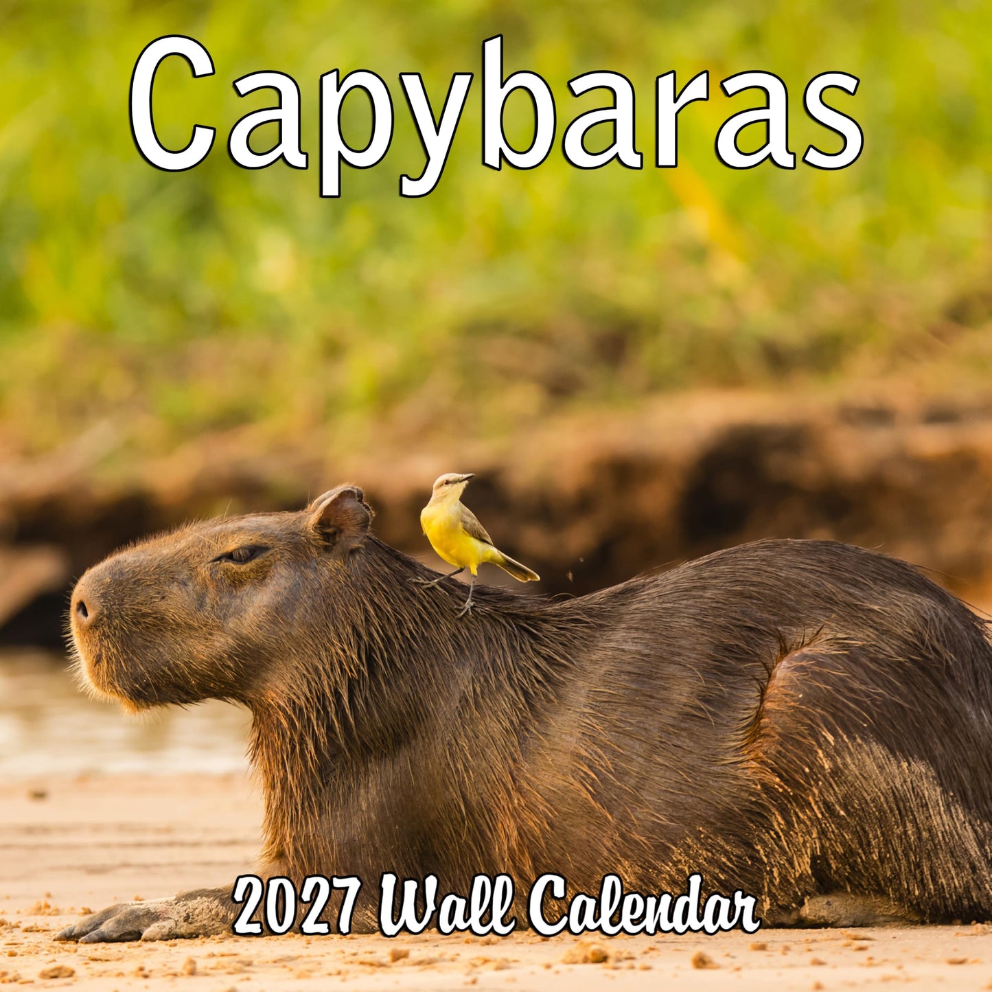 2027 Capybaras Monthly Wall Calendar | Cute Animals Calendar 2026-2027
