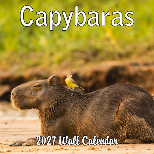 2027 Capybaras Monthly Wall Calendar