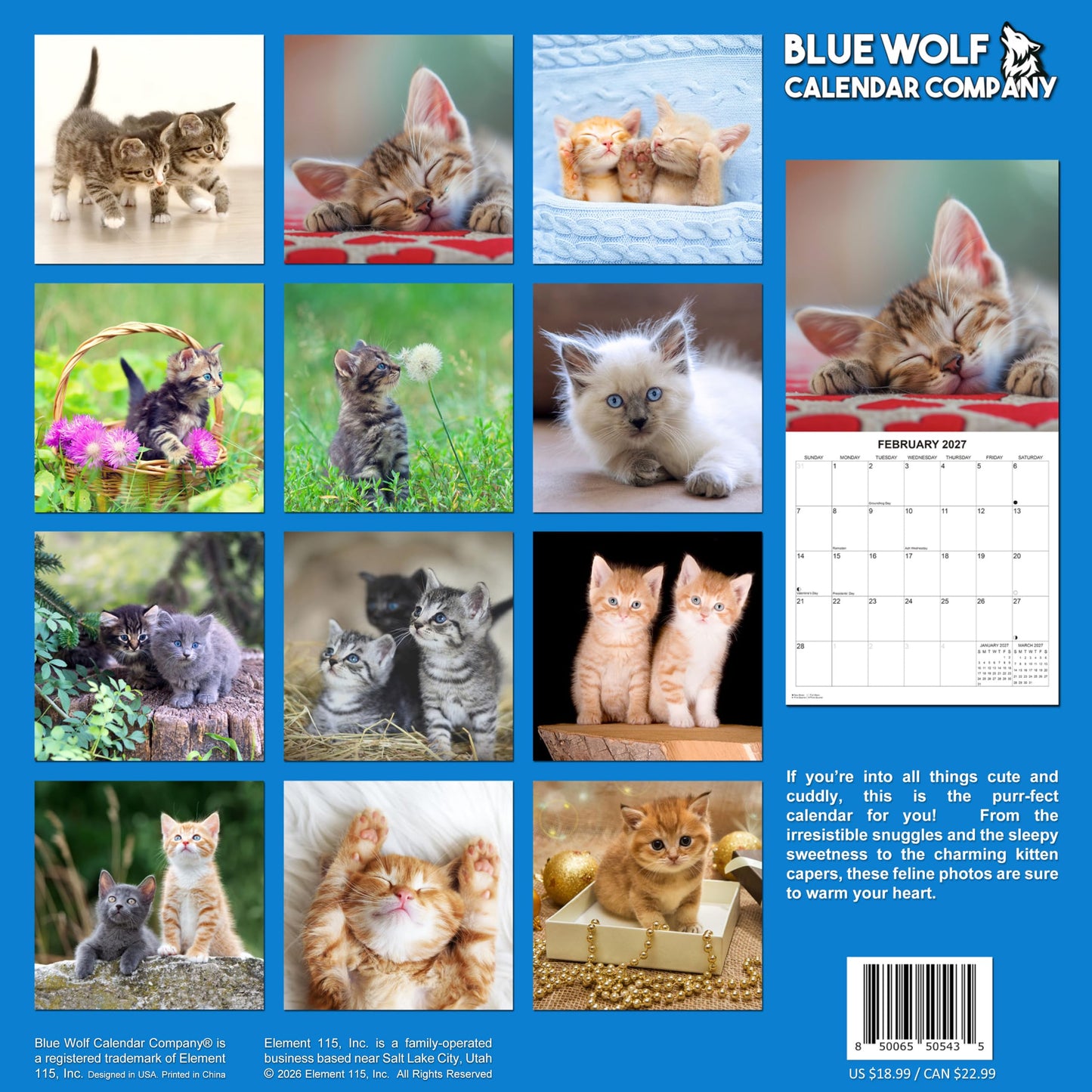 2027 Kittens Monthly Wall Calendar | Cute Cats Calendar 2026-2027