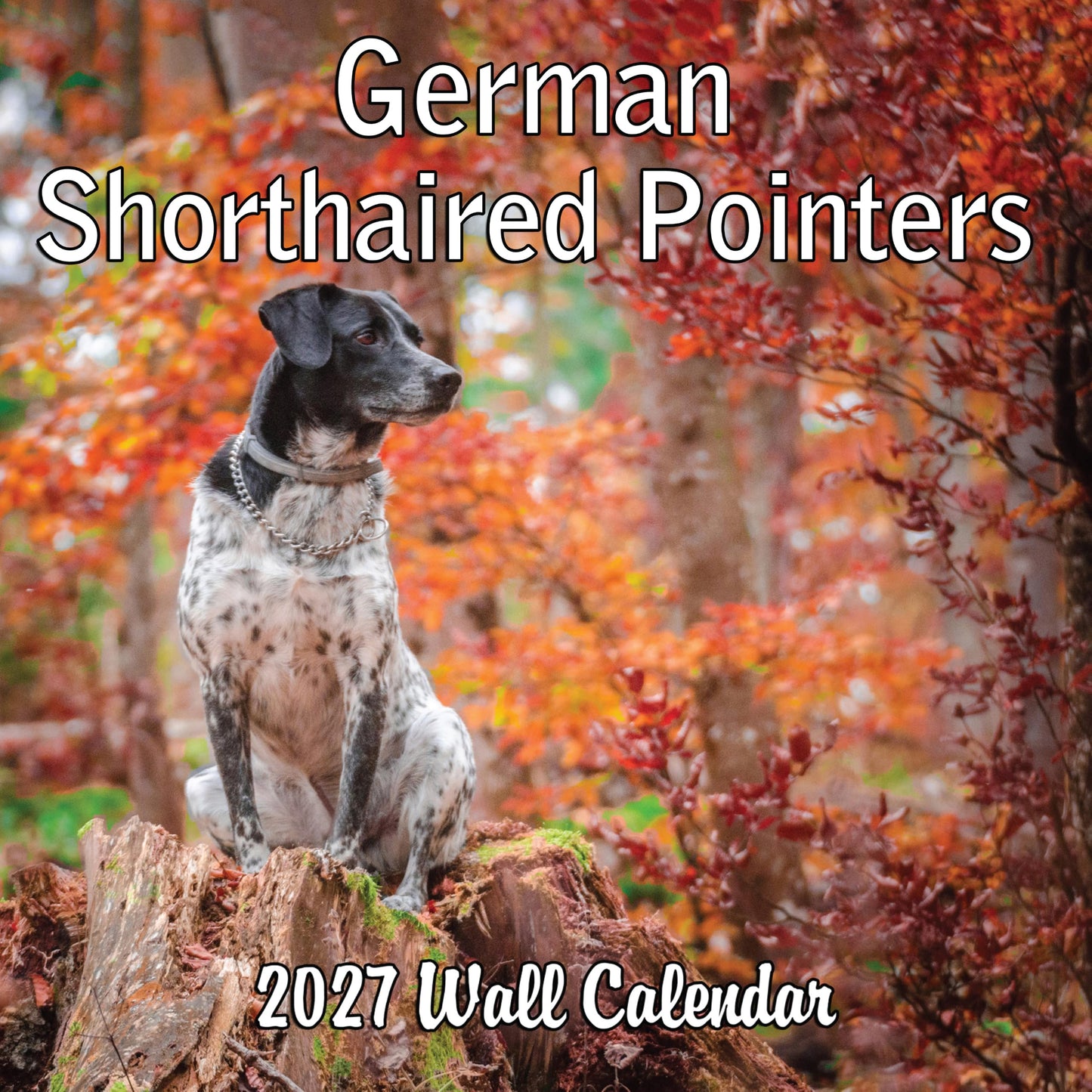 2027 German Shorthaired Pointer Monthly Wall Calendar | Dog Calendar September 2026 - December 2027