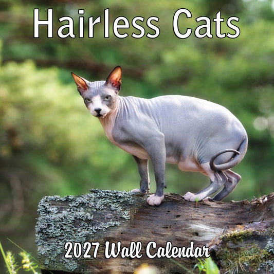 2027 Hairless Cats Monthly Wall Calendar | Cute Sphynx Cats Calendar 2026-2027
