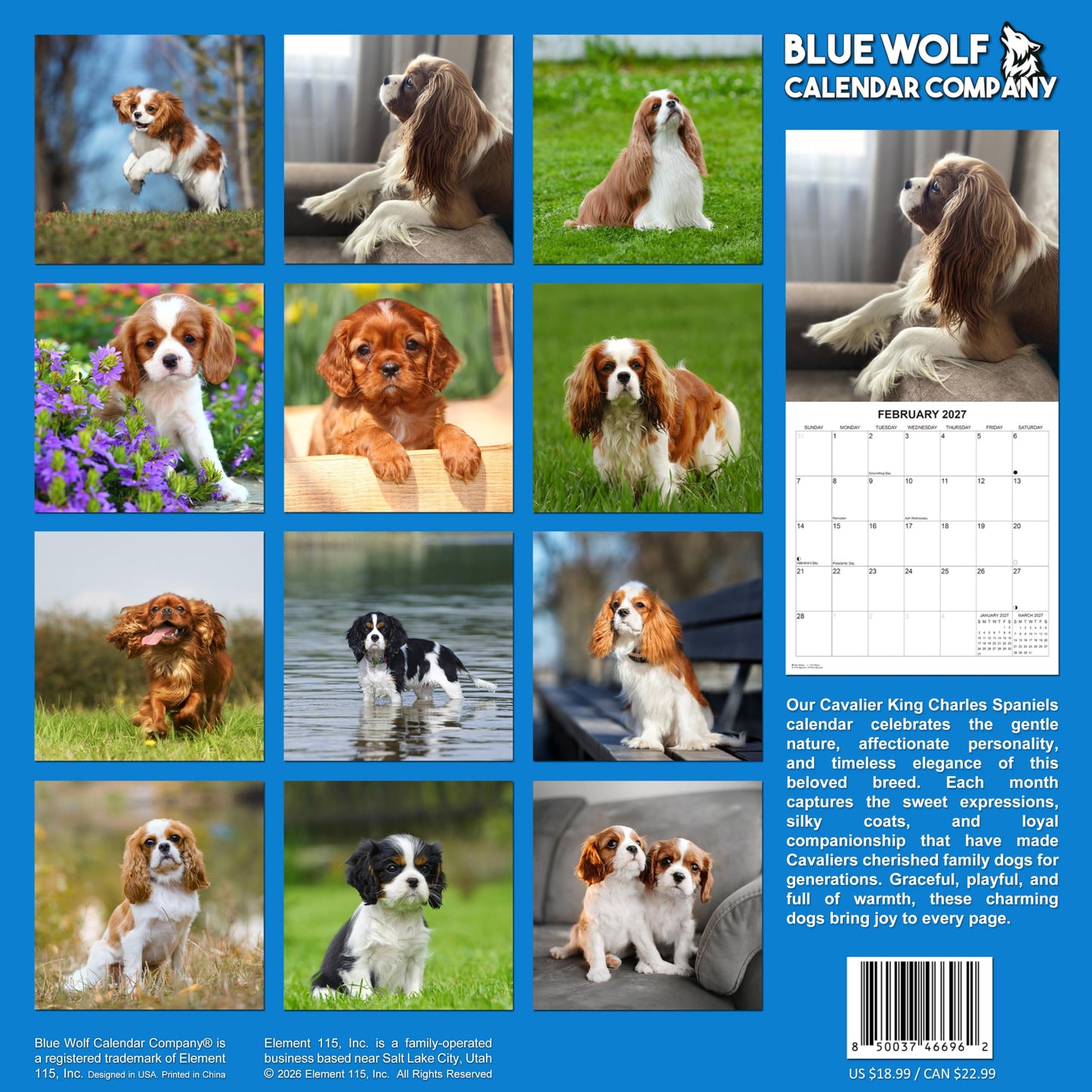 2027 Cavalier King Charles Spaniel Monthly Wall Calendar | Dog Calendar September 2026 - December 2027