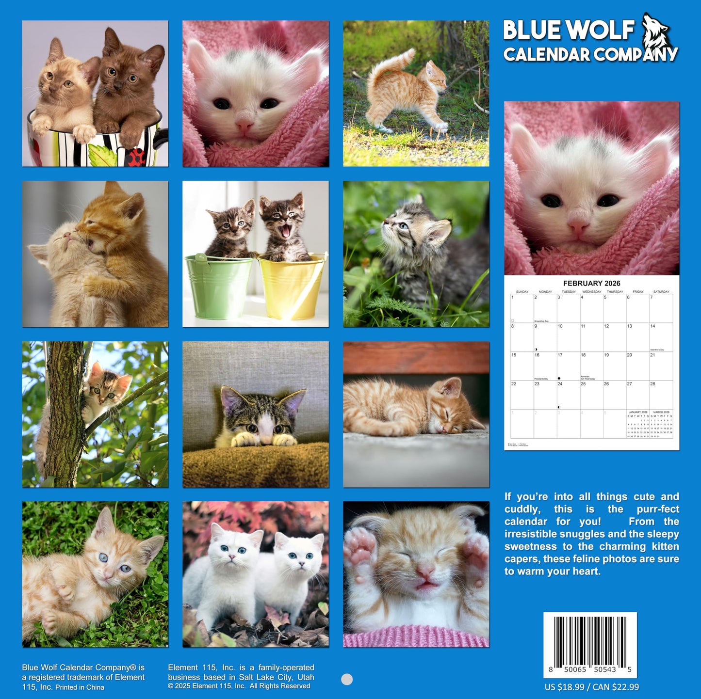 2026 Kittens Monthly Wall Calendar | 12" x 24" | Thick Sturdy Paper | Cute Cats Calendar 2025-2026
