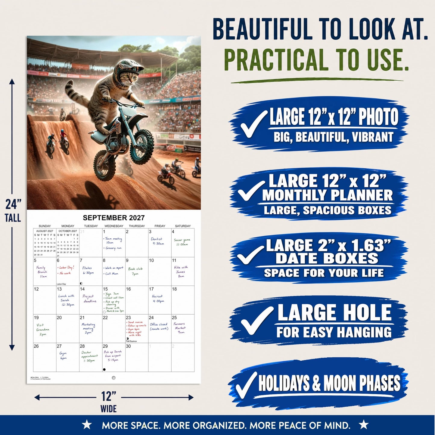 2027 Extreme Sports Cats Monthly Wall Calendar - Funny Gag Gift | Funny Cats Gift Calendar 2026-2027
