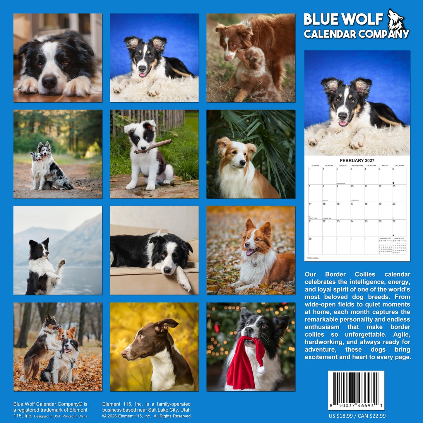 2027 Border Collies Monthly Wall Calendar | Dog Calendar September 2026 - December 2027