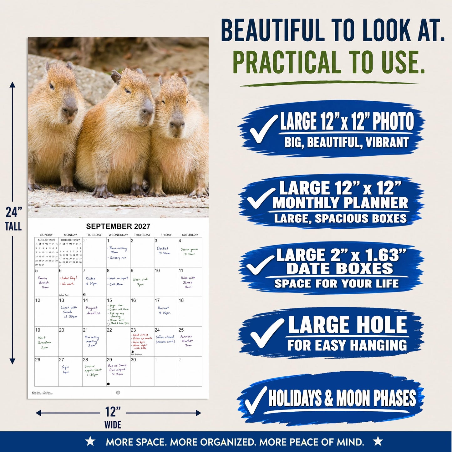 2027 Capybaras Monthly Wall Calendar | Cute Animals Calendar 2026-2027