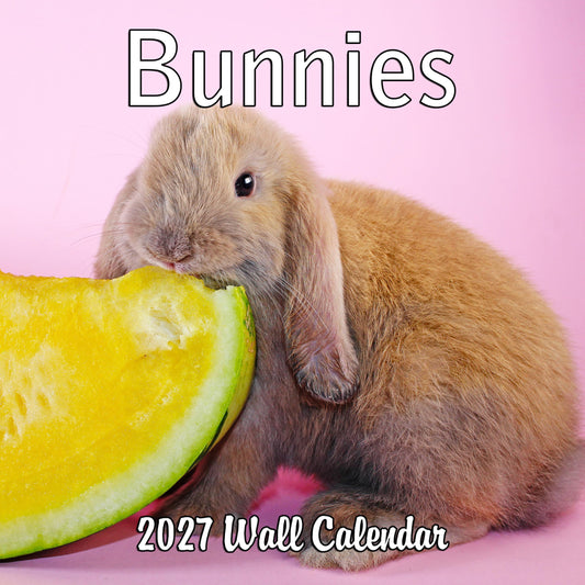 2027 Bunnies Monthly Wall Calendar | Cute Rabbit Animals Calendar 2026-2027