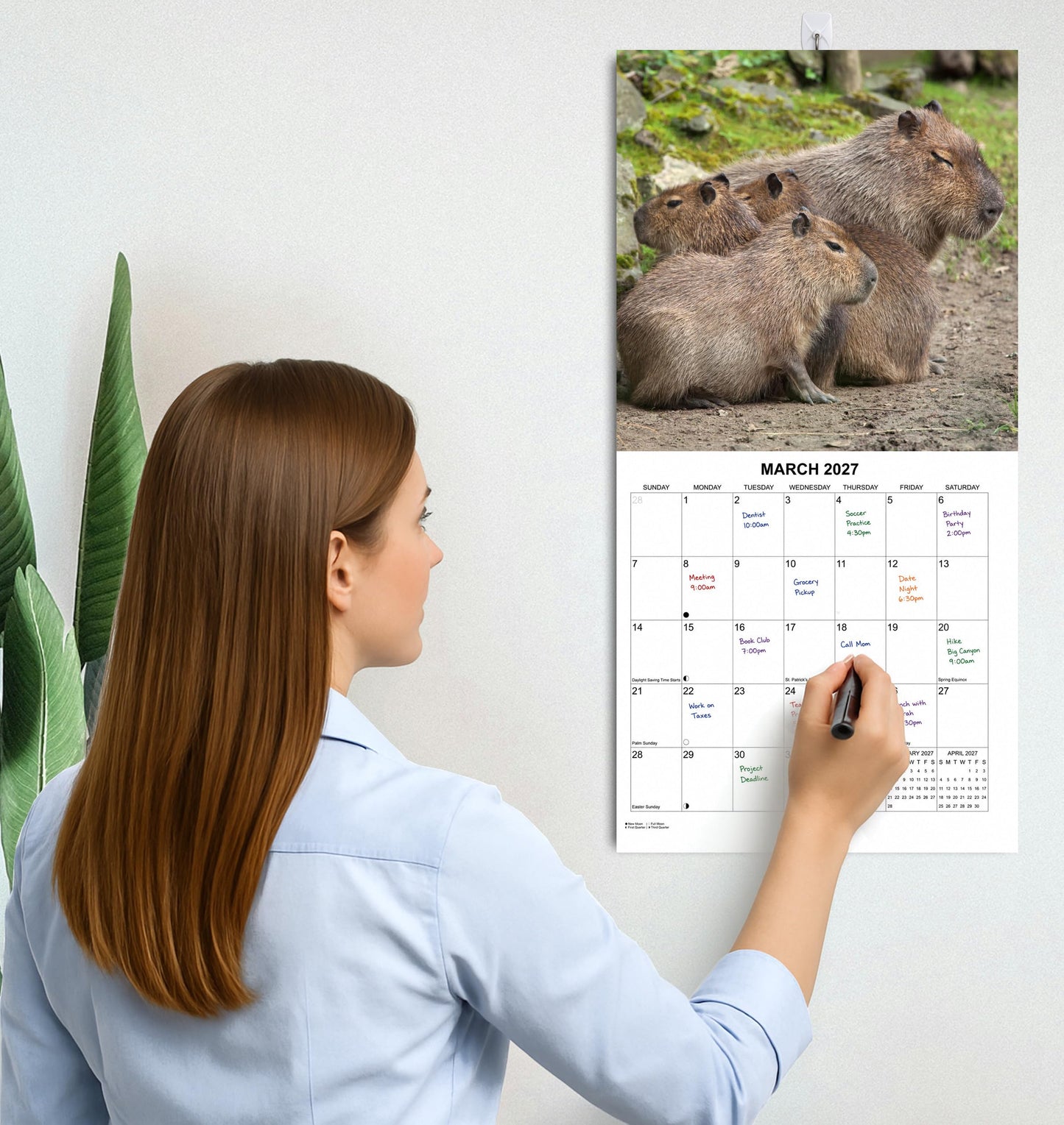 2027 Capybaras Monthly Wall Calendar | Cute Animals Calendar 2026-2027