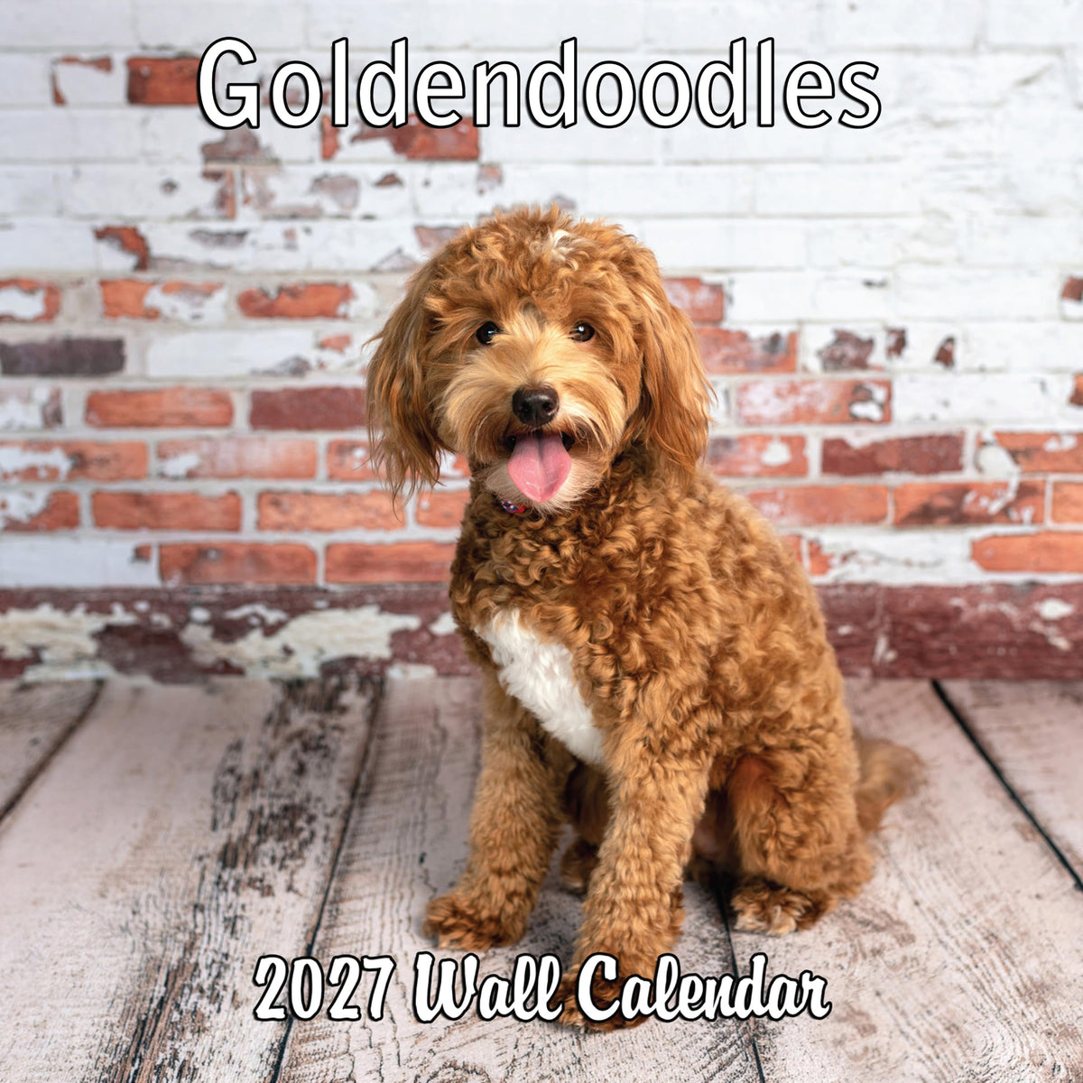 2027 Goldendoodles Monthly Wall Calendar | Cute Dog Calendar September 2026 - December 2027
