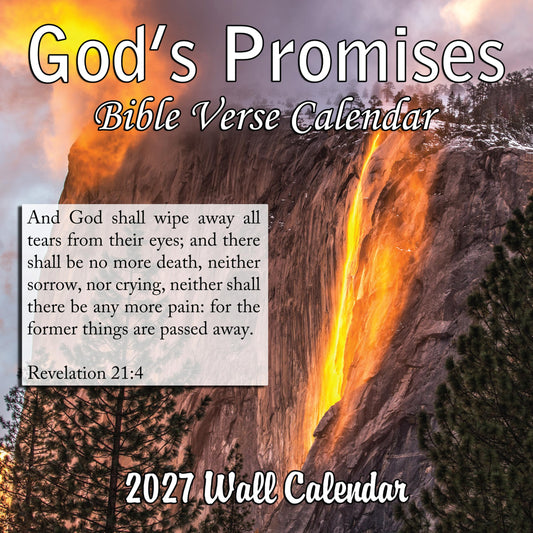2027 God's Promises Bible Verses Monthly Wall Calendar | Christian Calendar 2026-2027