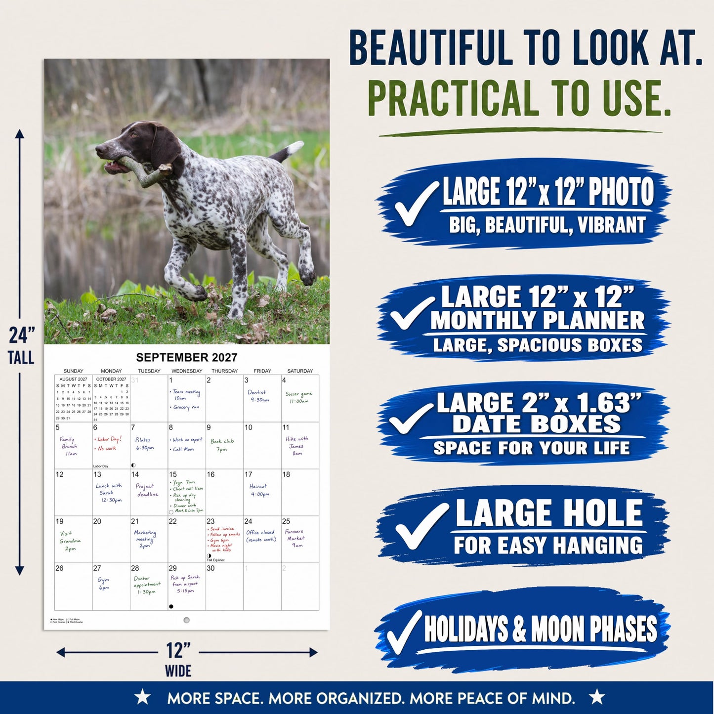 2027 German Shorthaired Pointer Monthly Wall Calendar | Dog Calendar September 2026 - December 2027