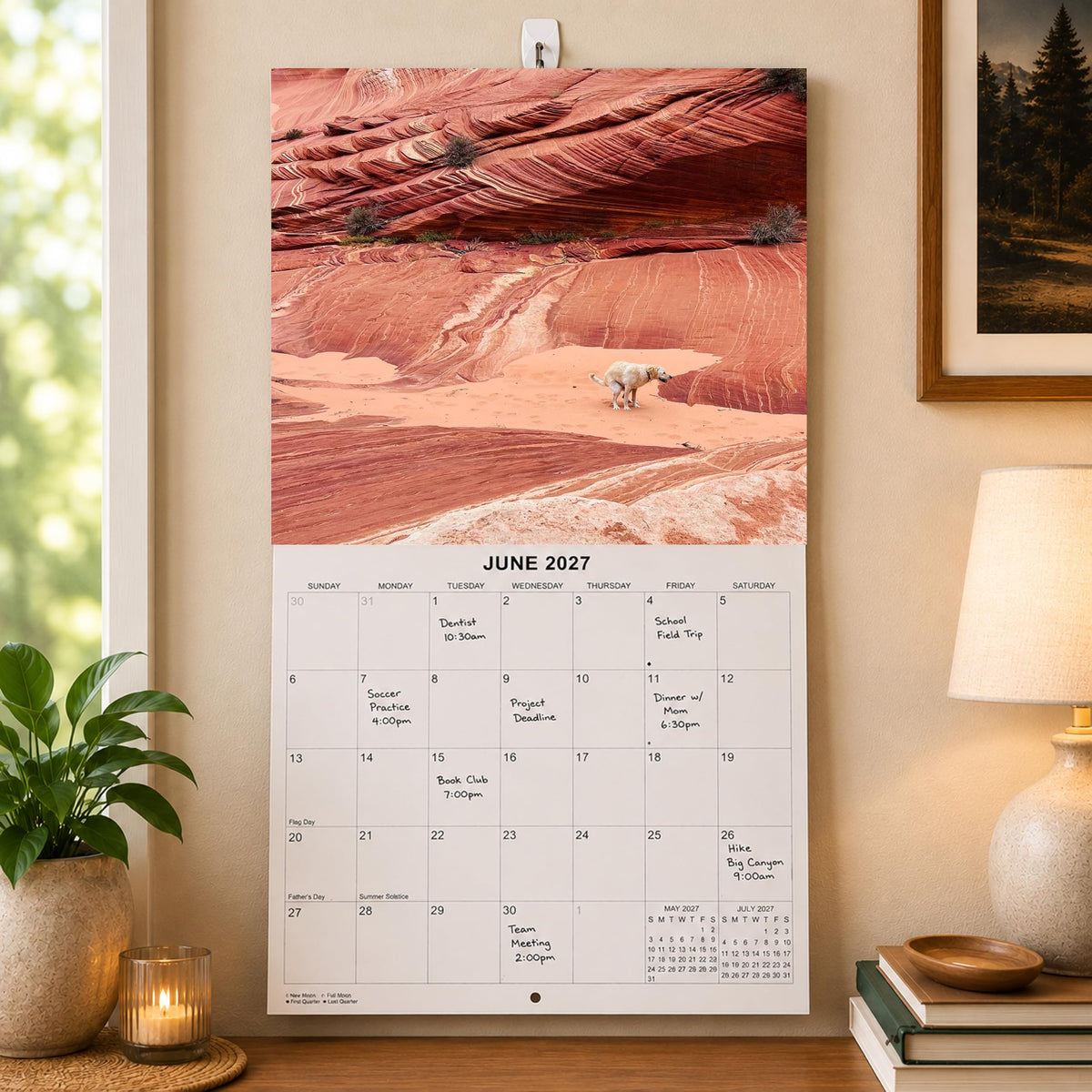 2027 Dumping Dogs in Scenic Spots Monthly Wall Calendar - Pooping Dogs Calendar | Prank Gift White Elephant or Gag Gift Calendar 2026-2027