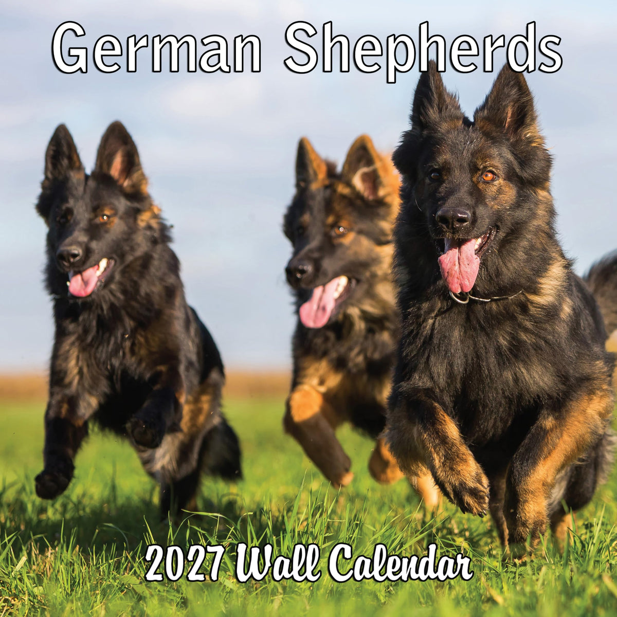 2027 German Shepherds Monthly Wall Calendar | Dog Calendar September 2026 - December 2027