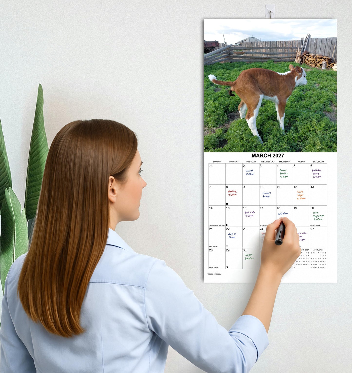 2027 Crapping Creatures Monthly Wall Calendar - Wild Animals Pooping Calendar | 2026 Prank Gift White Elephant or Gag Gift Calendar 2026-2027