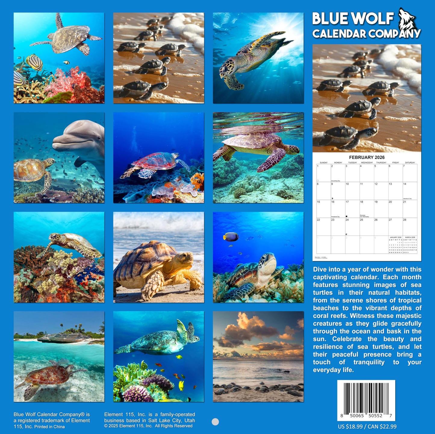 2026 Sea Turtles Monthly Wall Calendar | 12" x 24" | Animals Calendar 2025-2026