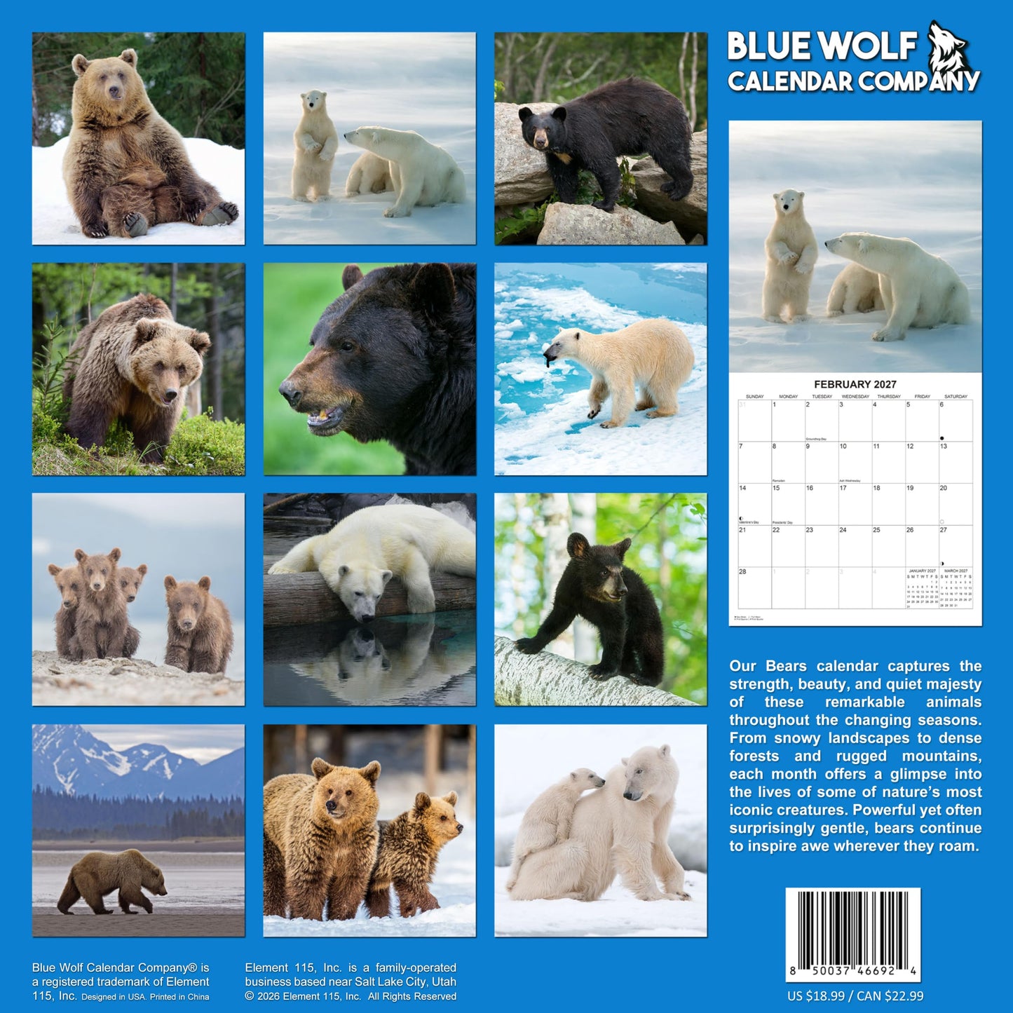 2027 Bears Monthly Wall Calendar | Animals Calendar 2026-2027