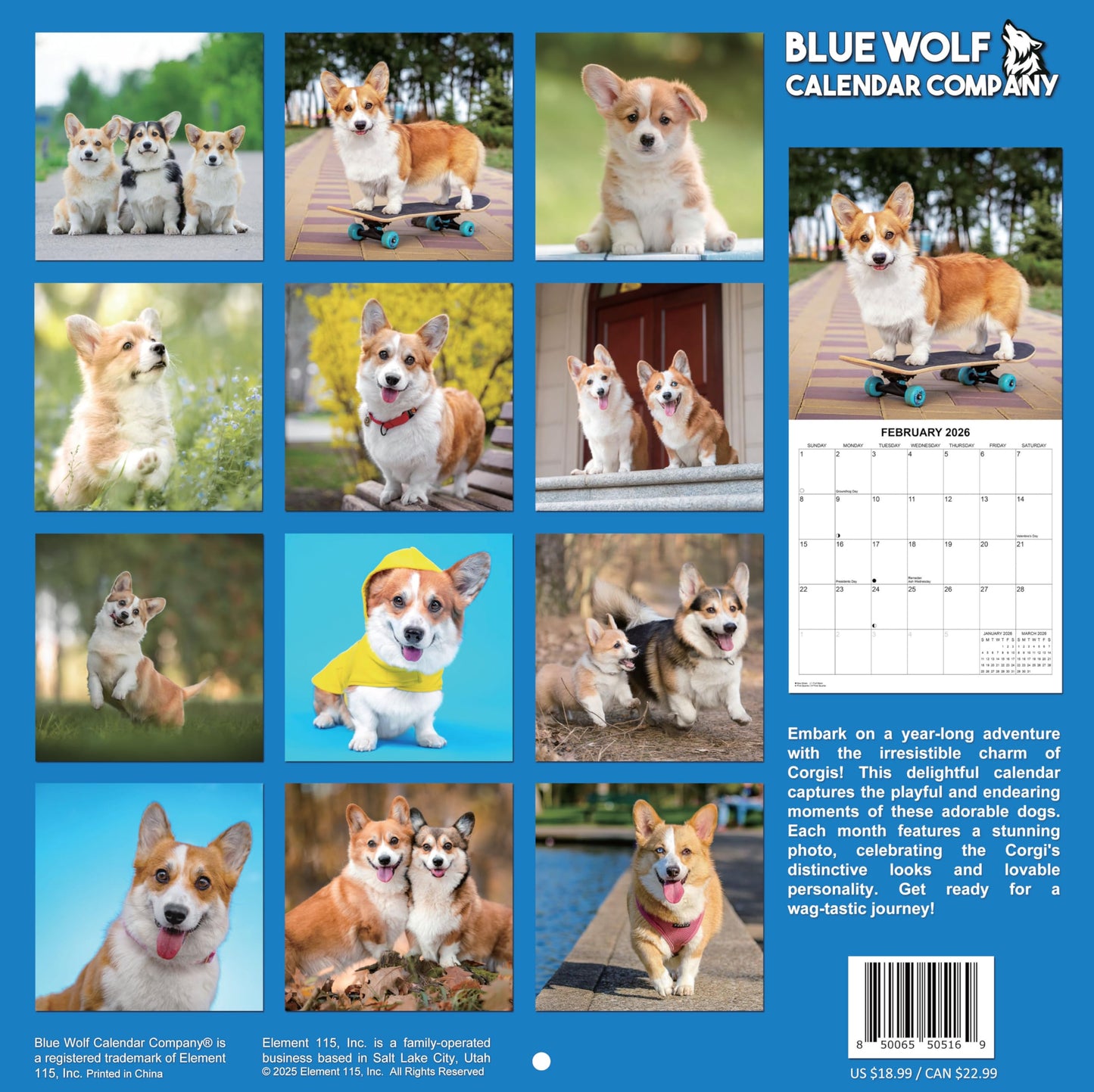2026 Corgis Monthly Wall Calendar | 12" x 24" | Dog Calendar September 2025 - December 2026