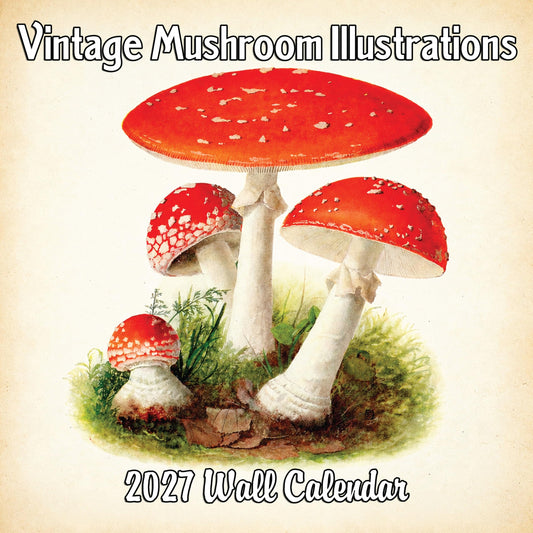 2027 Vintage Mushroom Illustrations Monthly Wall Calendar