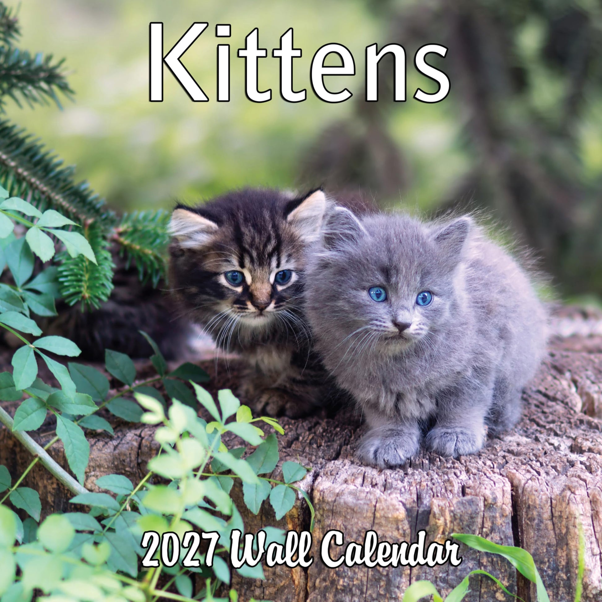 2027 Kittens Monthly Wall Calendar | Cute Cats Calendar 2026-2027
