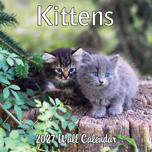 2027 Kittens Monthly Wall Calendar | Cute Cats Calendar 2026-2027