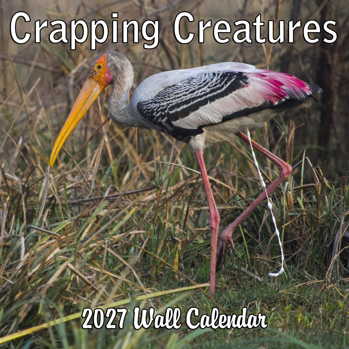 2027 Crapping Creatures Monthly Wall Calendar - Wild Animals Pooping Calendar | 2026 Prank Gift White Elephant or Gag Gift Calendar 2026-2027