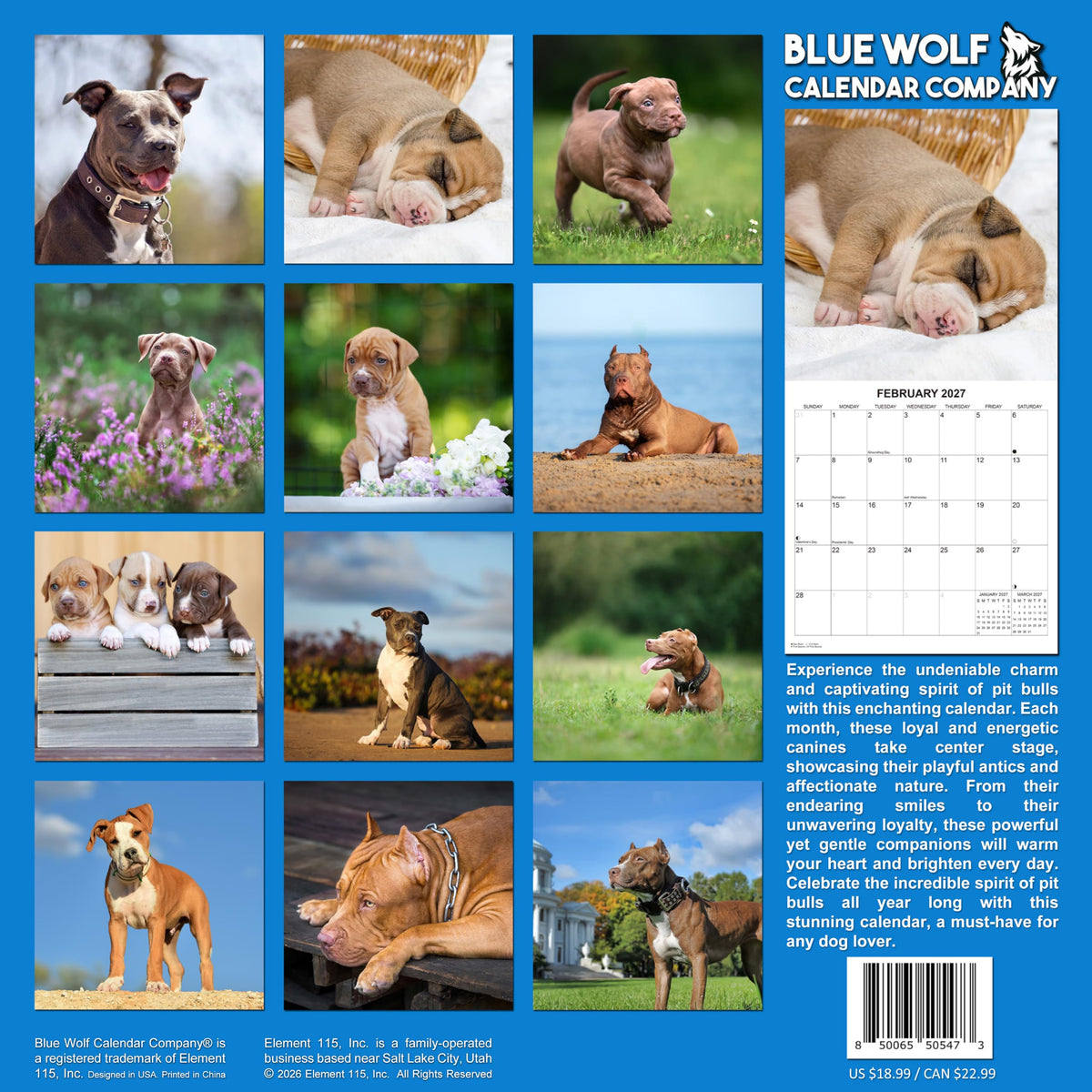 2027 Pit Bulls Monthly Wall Calendar | Pitbull Dog Calendar September 2026 - December 2027