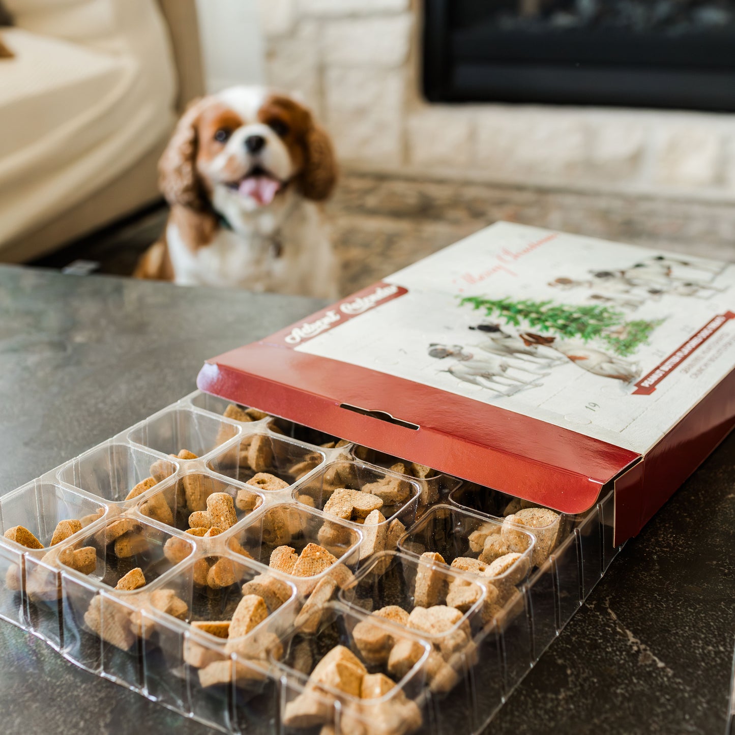 BLUE WOLF CALENDAR COMPANY Christmas Dog Advent Calendar for Dogs Grain Free Crunchy Peanut Butter Flavored Dog Treat Biscuits Dog Treat Advent Calendar  no