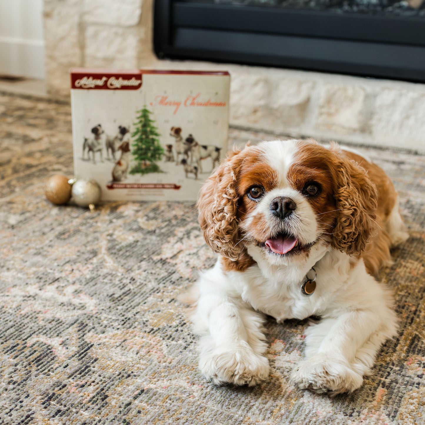 BLUE WOLF CALENDAR COMPANY Christmas Dog Advent Calendar for Dogs Grain Free Crunchy Peanut Butter Flavored Dog Treat Biscuits Dog Treat Advent Calendar  no