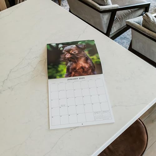 2024 Ugly Dogs Monthly Wall Calendar Hilarious Gag Gift White Elephant Gift for Dog Lovers - September 2023 - December 2024 12" x 24" Open 12" x 12" Closed Funny Dog Images Large Grid Size for Notes