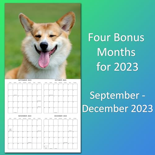 2024 Corgis Dogs Puppies Monthly Wall Calendar with Four Bonus Months from 2023 16-Month Calendar Starts in September 2023 until December 2024 12" x 24" (when open) 12" x 12" (when closed) Thick Sturdy Paper