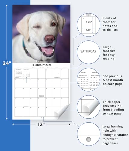 2024 Silly Dogs Hangable Wall Calendar Monthly with Four Bonus Months from 2023 16-Month Large Wall Calendar September 2023-2024 12" x 24" Funny Dog Images Thick Sturdy Paper Giftable 2024 Calendar