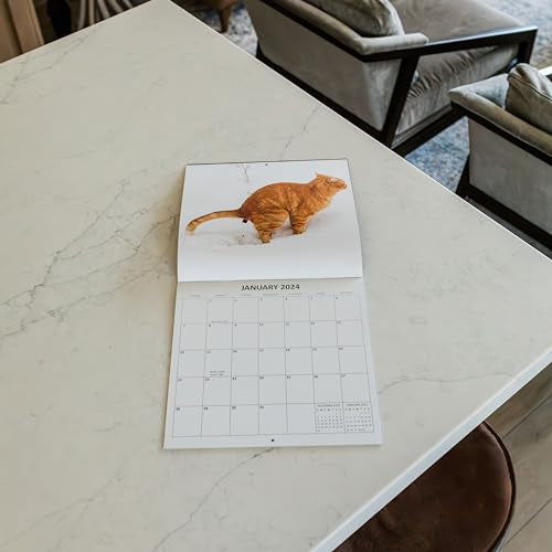 2024 Fecal Felines Crapping Cats White Elephant Gift Monthly Wall Calendar with Four Bonus Months from 2023 16-Month Calendar Starts in September 2023 until December 2024 12" x 24" (when open) 12" x 12" (when closed) Thick Sturdy Paper