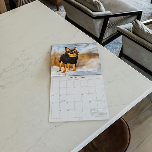 2024 Chihuahua Monthly Hangable Wall Calendar with Four Bonus Months from 2023 16-Month Large Wall Calendar September 2023-2024 12" x 24" When Open Thick Sturdy Paper Giftable 2024 Chihuaha Dog Calendar