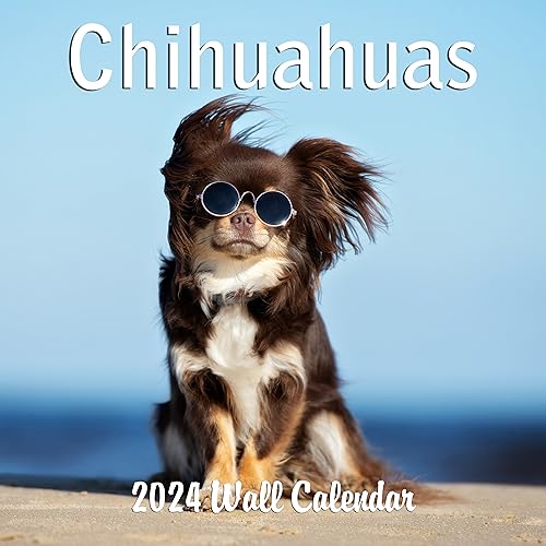 2024 Chihuahua Monthly Hangable Wall Calendar with Four Bonus Months from 2023 16-Month Large Wall Calendar September 2023-2024 12" x 24" When Open Thick Sturdy Paper Giftable 2024 Chihuaha Dog Calendar