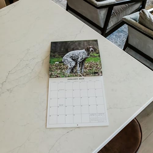 2024 Dumping Dogs Hilarious Pooping Crapping Dogs Monthly Wall Calendar with Four Bonus Months from 2023 16-Month Calendar Starts in September 2023 until December 2024 12" x 24" (when open) 12" x 12" (when closed) Thick Sturdy Paper Prank Joke White Eleph