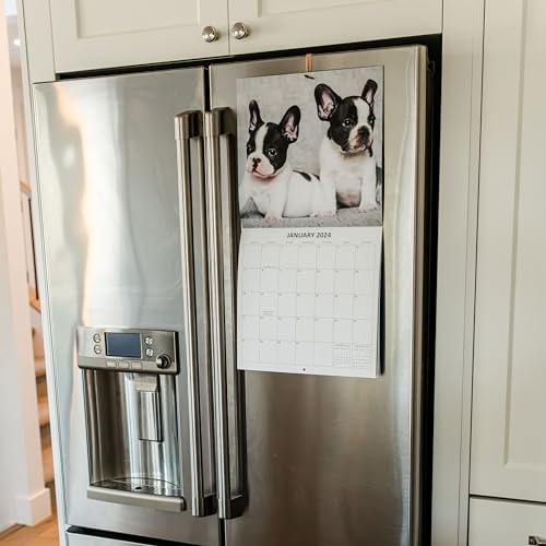 2024 French Bulldogs Monthly Hangable Wall Calendar with Four Bonus Months from 2023 16-Month Large Wall Calendar September 2023-2024 12" x 24" When Open Thick Sturdy Paper Giftable 2024 Dog Calendar