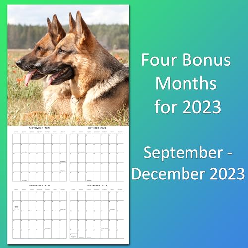 2024 German Shepherds Dogs Monthly Wall Calendar with Four Bonus Months from 2023 16-Month Calendar Starts in September 2023 until December 2024 12" x 24" (when open) 12" x 12" (when closed) Thick Sturdy Paper