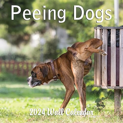 2024 Peeing Dogs Monthly Wall Calendar Hilarious Gag Gift White Elephant Gift September 2023 - December 2024 12" x 24" Funny Dogs Peeing Prank Gift