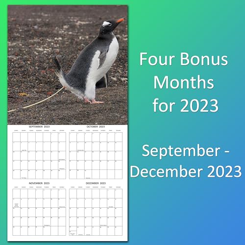 2024 Crapping Creatures Monthly Wall Calendar Wild Animals Pooping Hilarious Gag Gift White Elephant Gift September 2023 - December 2024 12" x 24" Open Closed Funny Animals Large Grid Size for Notes