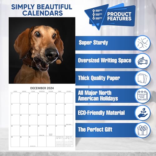 2024 Silly Dogs Hangable Wall Calendar Monthly with Four Bonus Months from 2023 16-Month Large Wall Calendar September 2023-2024 12" x 24" Funny Dog Images Thick Sturdy Paper Giftable 2024 Calendar