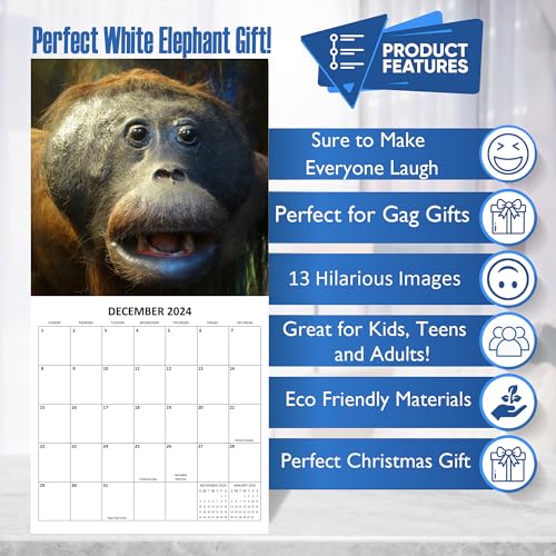 2024 Taxidermy Fail Monthly Wall Calendar Funny Gag Gift White Elephan
