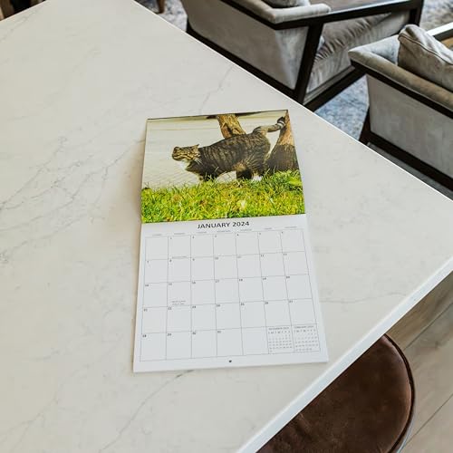 2024 Peeing Cats Monthly Wall Calendar Hilarious Gag Gift White Elephant Gift September 2023 - December 2024 12" x 24" Funny Cats Peeing Prank Gift