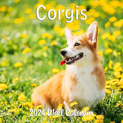 2024 Corgis Dogs Puppies Monthly Wall Calendar with Four Bonus Months from 2023 16-Month Calendar Starts in September 2023 until December 2024 12" x 24" (when open) 12" x 12" (when closed) Thick Sturdy Paper